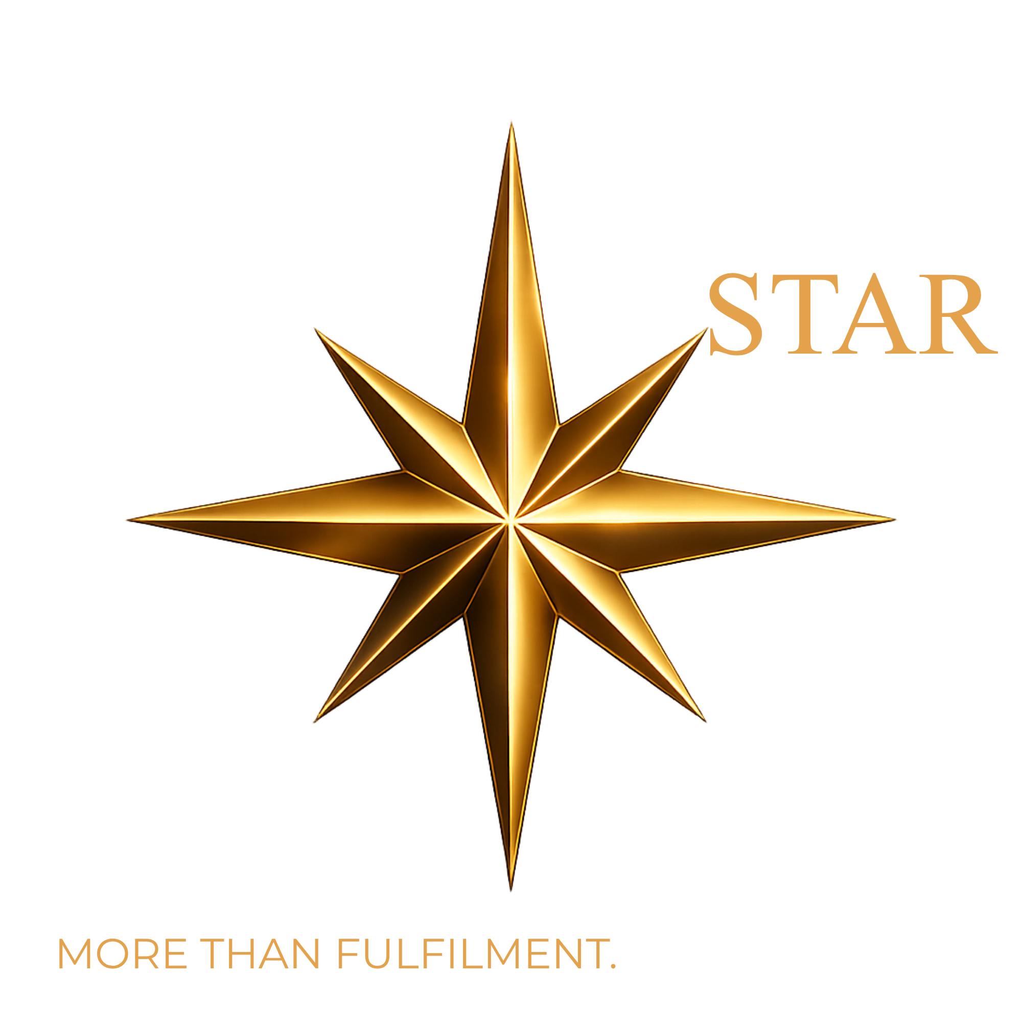 Newton Star — Third Party Logistics, More Than Fulfilment